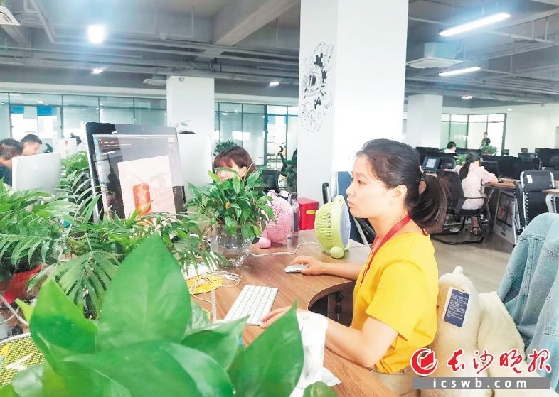 天心區(qū)數(shù)字經(jīng)濟吸引了大批人才,。陳飛 攝