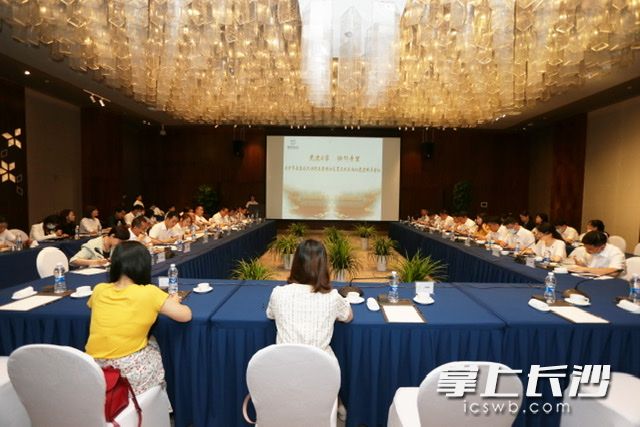 星湖社區(qū)區(qū)域化黨建聯(lián)席會(huì)第三次會(huì)議,，開到了高大上的酒店會(huì)議廳,。