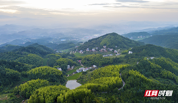 邵陽市新寧縣石云村是全省重點(diǎn)的扶貧村,，這里海拔高,，山林面積廣大，一個村的占地面積有一百多平方公里,。
