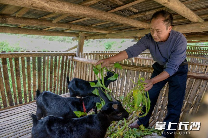 瀏河源村建檔立卡貧困戶劉富保搭上生態(tài)旅游的便車，靠著扶貧隊(duì)的幫扶,，已經(jīng)成功脫貧,。