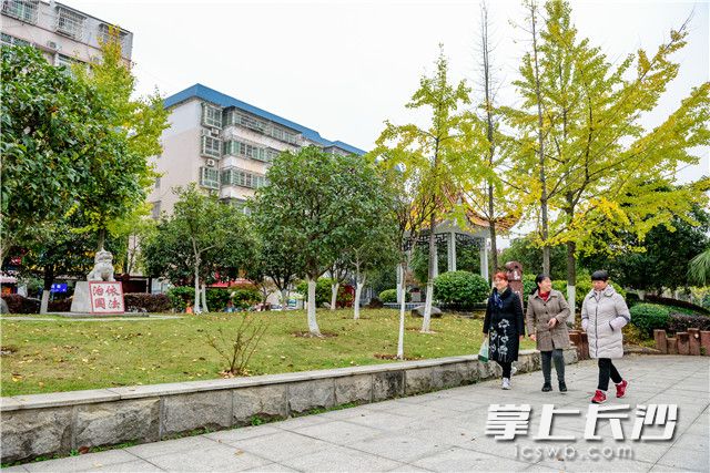 市民在新修的社區(qū)公園開(kāi)心游玩 長(zhǎng)沙晚報(bào)全媒體記者 陳飛 攝