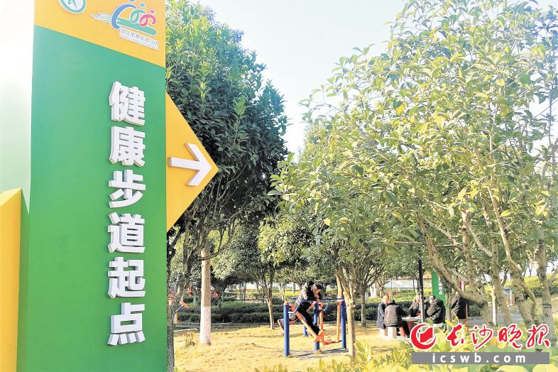 在玉潭街道通益社區(qū),，社區(qū)小公園成為居民們休閑健身的好去處。張禹 攝