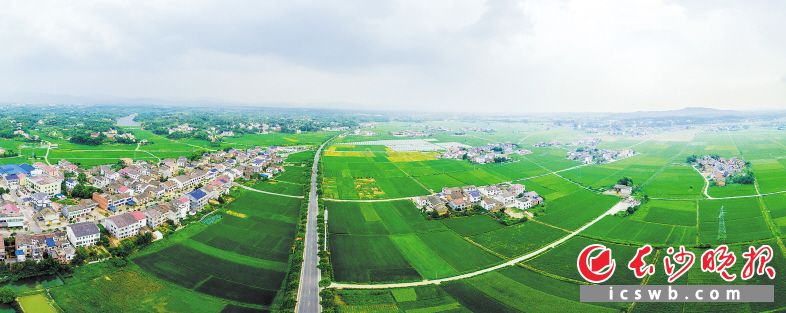 永社公路兩旁的青山、綠水,、田野,、屋舍依次鋪開，“暢,、安,、舒、美” 的路域環(huán)境讓人愜意,。長沙晚報通訊員 陳永燦 攝