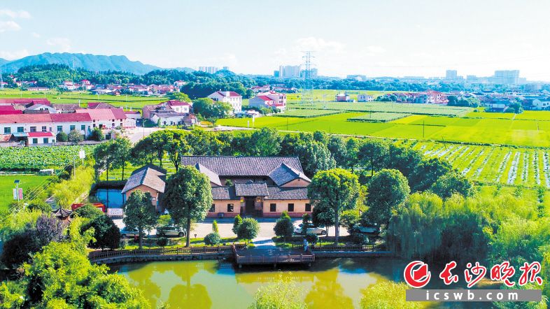 王震故居坐落在生機(jī)盎然的田野中,。長(zhǎng)沙晚報(bào)通訊員 鄧霞林 攝