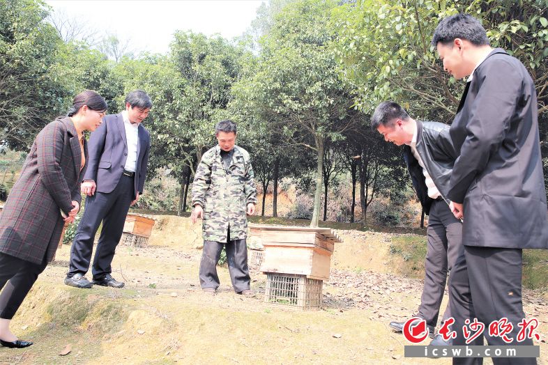 夏鐸鋪鎮(zhèn)扎實推進“四聯(lián)五到位”工作,，黨員干部聯(lián)戶走訪來到脫貧戶盧海軍（左三）家中,，現(xiàn)場查看他養(yǎng)殖蜜蜂的情況，并仔細詢問他在生活上還有什么困難,。張禹 攝