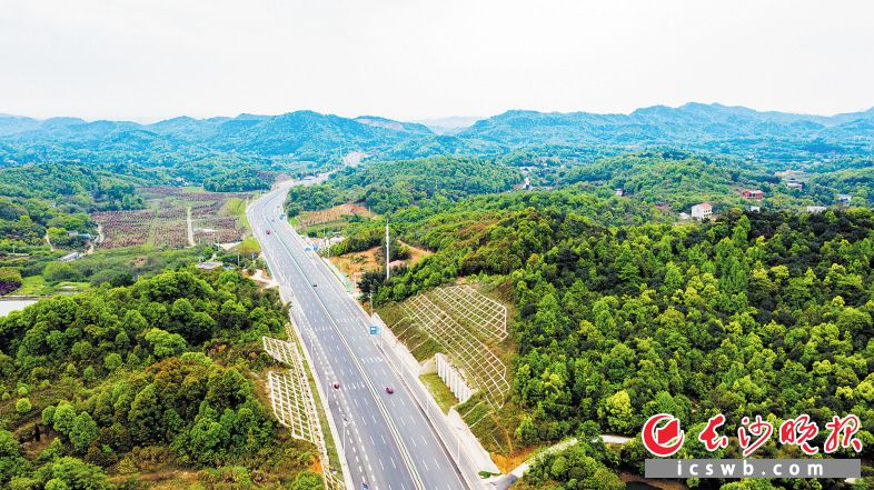 洞株路全程無紅綠燈，是一條長沙,、株洲兩地之間高效快捷的免費(fèi)通道,。作為長株潭“三干兩軌”項(xiàng)目之一，洞株城際快速路大大方便了兩地之間的互通,。 長沙晚報(bào)全媒體記者 鄒麟 攝