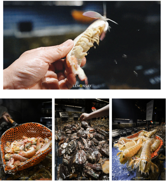 徐記海鮮將深海之美味呈現(xiàn)在餐桌之上,,在西安,、武漢迅速站住腳跟。 徐記海鮮將深海之美味呈現(xiàn)在餐桌之上,,在西安,、武漢迅速站住腳跟。