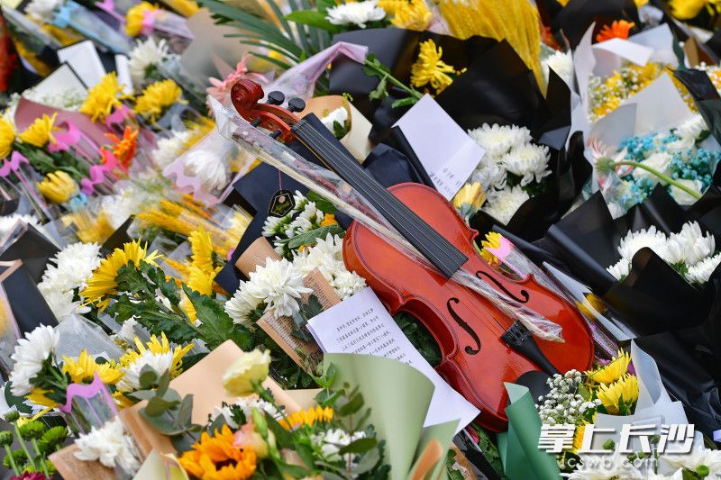 市民為袁老送來一把小提琴,。   均為長沙晚報全媒體記者王志偉攝