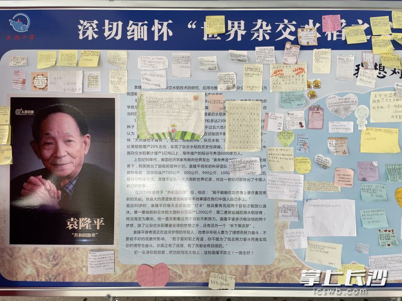 天心區(qū)西湖小學(xué)開(kāi)展“我想對(duì)袁爺爺說(shuō)”主題活動(dòng),，孩子們?cè)诩垪l上寫著自己想對(duì)袁爺爺說(shuō)的話。
