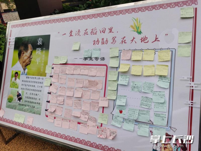 高新區(qū)明華小學(xué)孩子們制作“袁爺爺,，我想對(duì)您說(shuō)”留言卡,，貼在教學(xué)樓大廳的展板上。