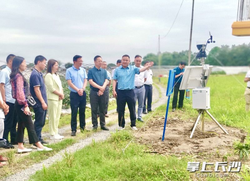 來自湘贛邊各縣（市,、區(qū)）的客人在國家農(nóng)業(yè)綠色發(fā)展長期固定觀測瀏陽試驗(yàn)站騰祥觀測點(diǎn)參觀,。長沙晚報(bào)通訊員 謝敏 攝