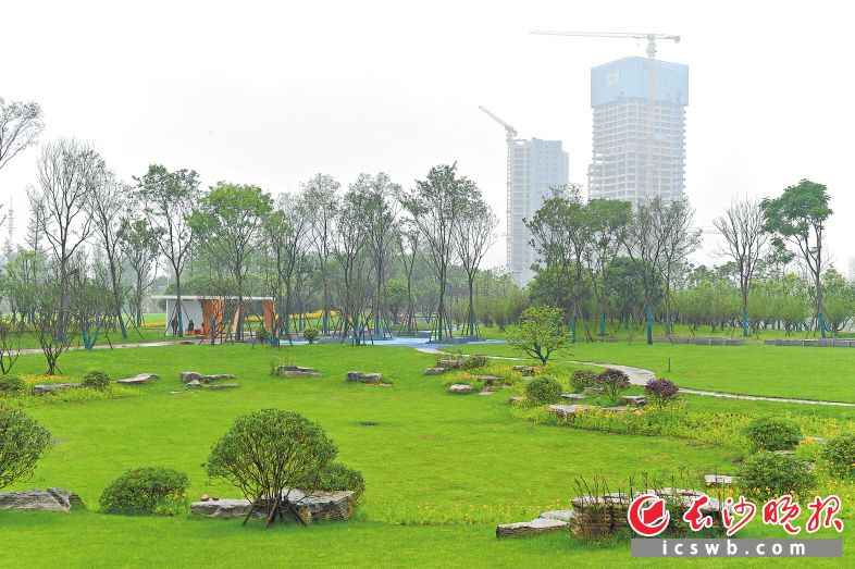 今年上半年,，長沙完成了馬欄山公園等一批“精美長沙”建設(shè)示范項(xiàng)目,。 鄒麟 攝
