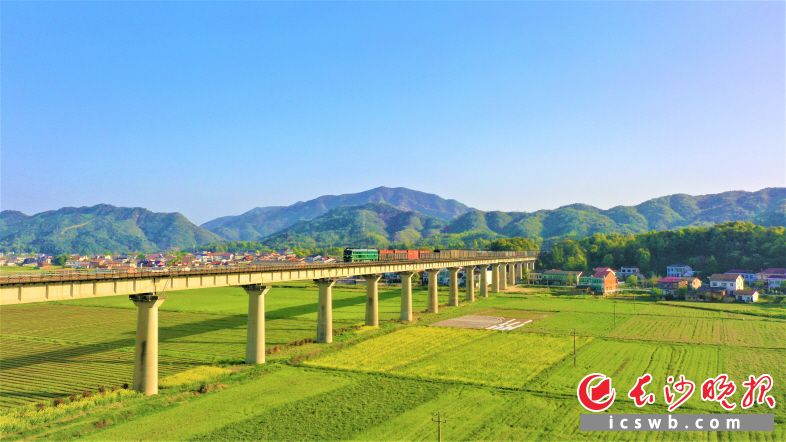 蒼山若黛,，阡陌縱橫，寧鄉(xiāng)橫市鎮(zhèn)從容繪就鄉(xiāng)村美景,。圖片除署名外均為受訪方供圖