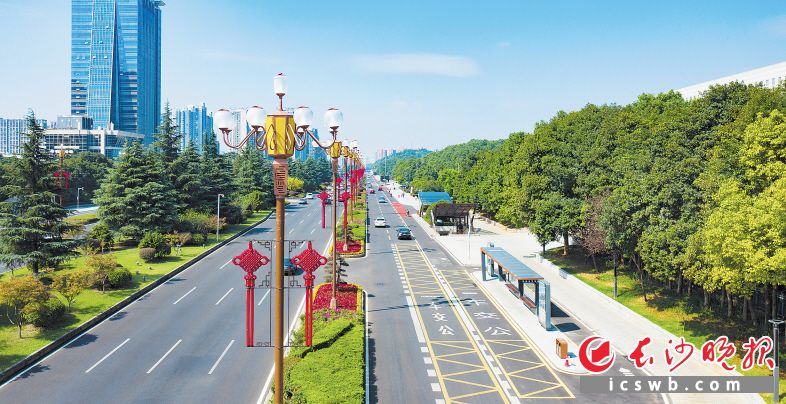 提質(zhì)改造后的岳麓大道，道路環(huán)境及景觀配套煥然一新,、滿眼綠意,。