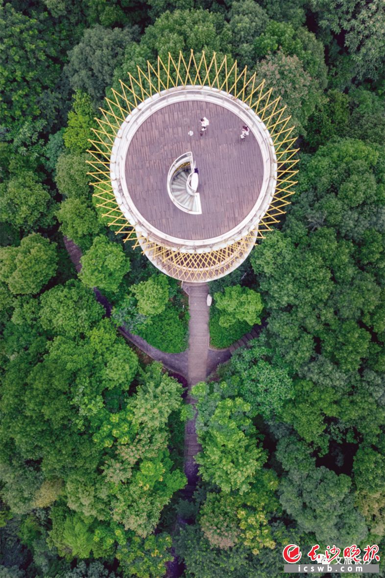 梅溪湖文化島景觀塔