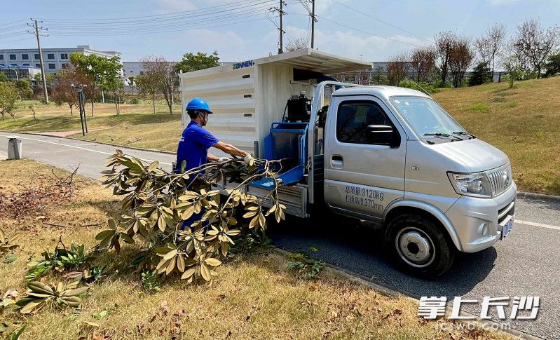 車(chē)載式樹(shù)木削片粉碎機(jī)QZG150在演示碎料,。圖片均為長(zhǎng)沙晚報(bào)全媒體記者 賀文兵 攝