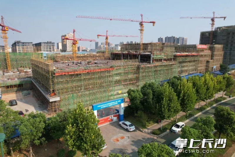圖為建設(shè)中的中電數(shù)智園,。
