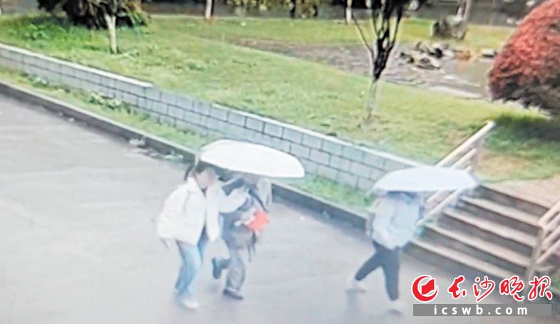 在雨中相遇后，女大學生張婷撐傘送85歲的陌生老人回家,。 視頻截圖