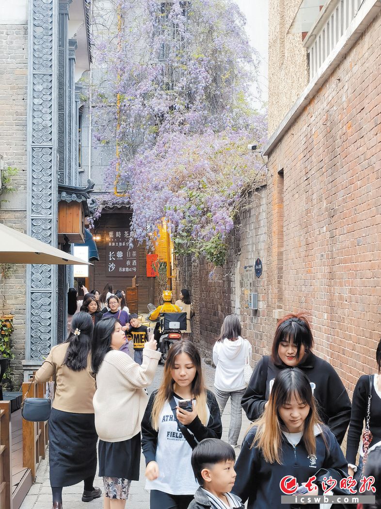 豐泉古井社區(qū)處處有美景,，吸引不少游客前來(lái)打卡,。　　長(zhǎng)沙晚報(bào)通訊員 風(fēng)泉 攝