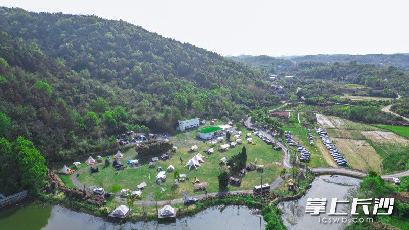 去年10月,，黃柱在冬斯港村流轉(zhuǎn)30畝地打造了冬斯港走吧去野·跳馬自然營地，半年來接待游客2萬人次,，一舉成為近郊露營網(wǎng)紅打卡點(diǎn),。圖片均為長沙晚報(bào)全媒體記者易億、鄧迪攝