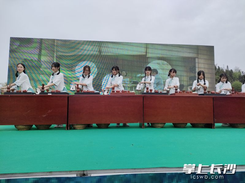 茶藝表演