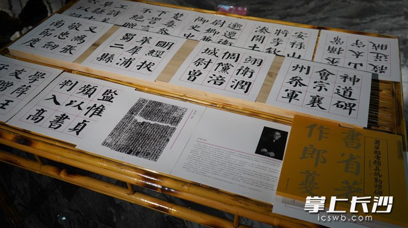 蕭華書(shū)法作品。
