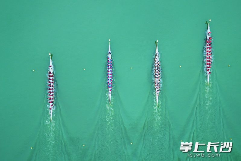 500米直道賽決賽現(xiàn)場,。