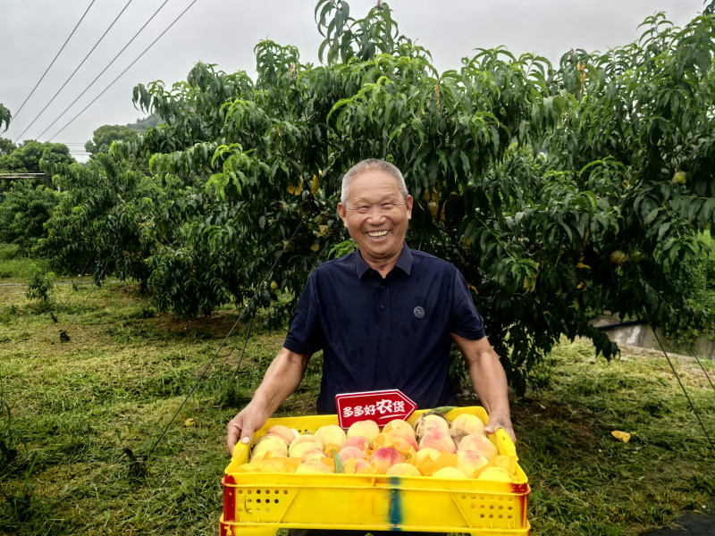 二季度,，拼多多“農(nóng)云行動”繼續(xù)深入各大農(nóng)產(chǎn)區(qū)，帶動當(dāng)?shù)剞r(nóng)豐產(chǎn)增收,。（攝影 李云豐） 