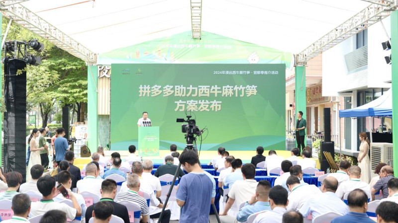 拼多多希望持續(xù)為廣東百縣千鎮(zhèn)萬村的高質(zhì)量發(fā)展作出積極貢獻(xiàn)。 譚家富 攝