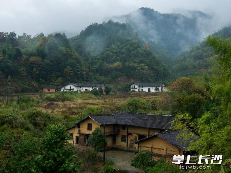道官?zèng)_改造前,。