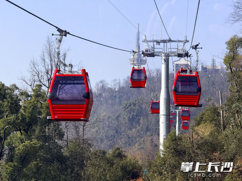 Photo by Zhou Shuyi from Changsha Evening News.