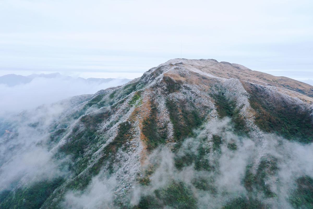 A white wonderland is created in Guidong county, Hunan province, recently as supercooled water droplets in fog rapidly freeze on cold surfaces, creating rime. [Photo by Deng Yanping/For chinadaily.com.cn]