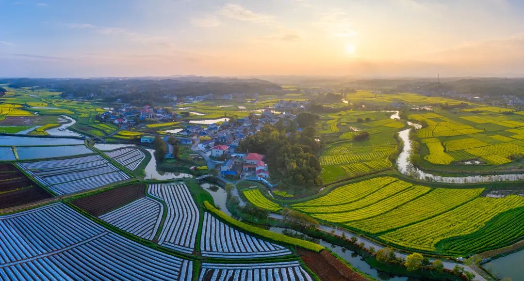 Chenjiaqiao Village in Ningxiang, Changsha. Photo provided by Cai Shijiao.