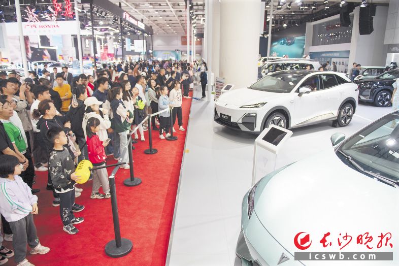 2024湖南車展人潮涌動,。 長沙晚報全媒體記者 黃啟晴 攝