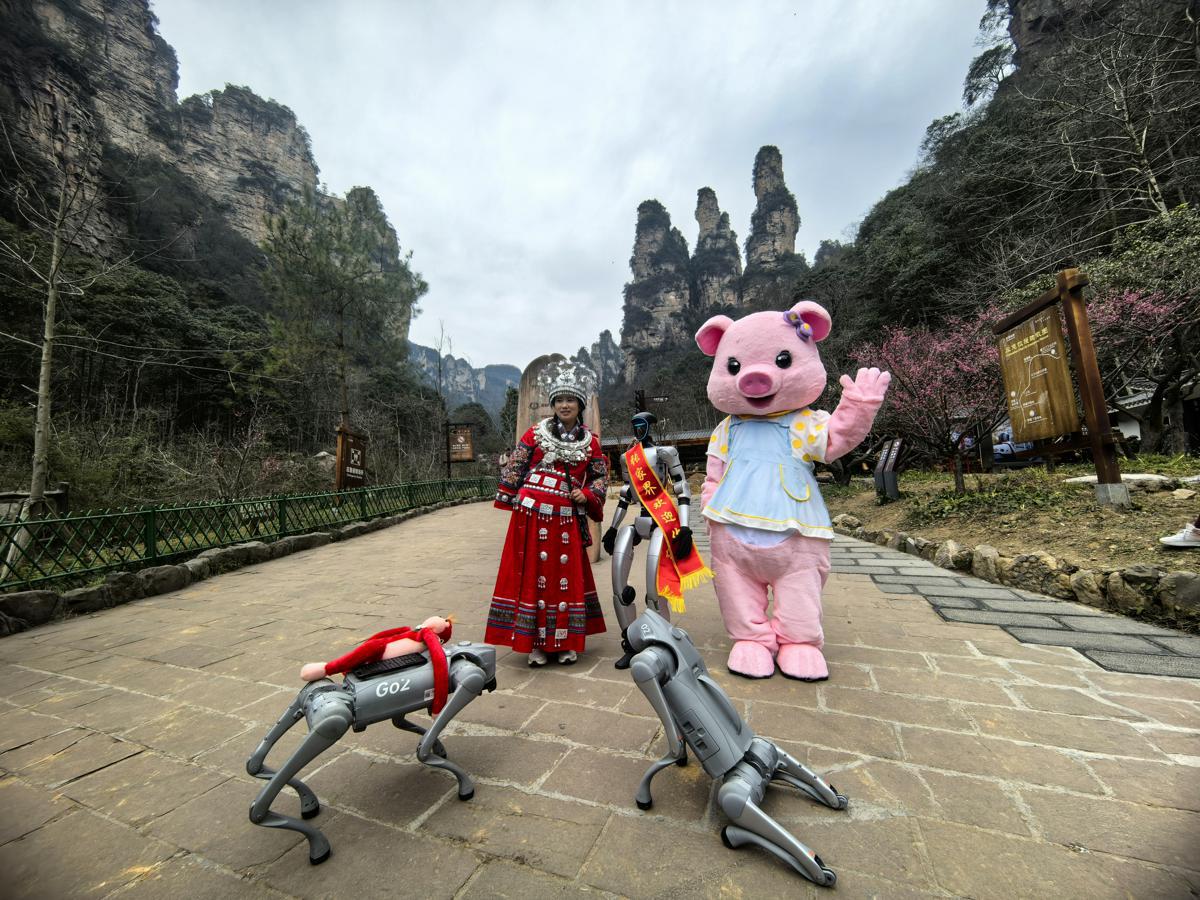 Robots and robotic dogs warmly greet tourists in Zhangjiajie, Hunan province. [Photo provided to chinadaily.com.cn]