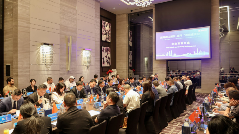 The delegation attends a symposium with Hunan entrepreneurs in the UAE.