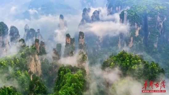 The landscape of Zhangjiajie. (Photo provided by the organizer)