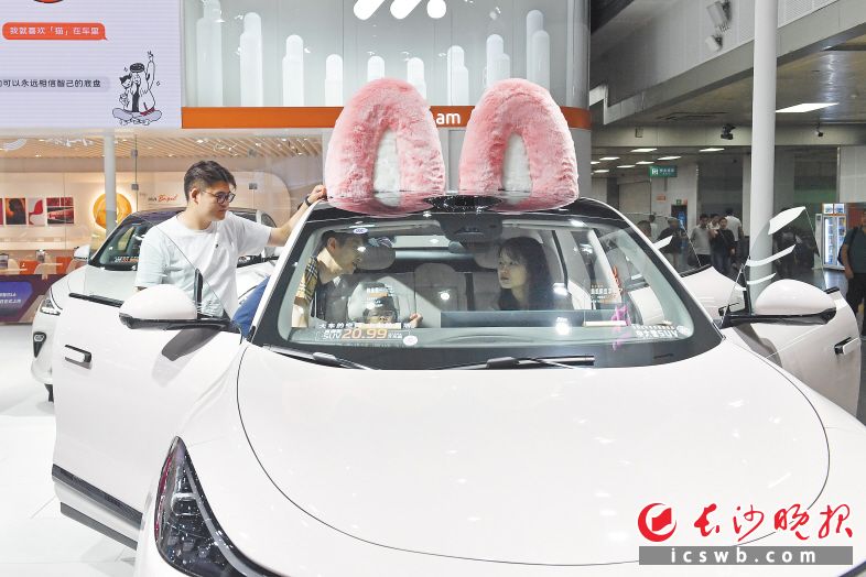 　　年輕購(gòu)車者越來(lái)越追求個(gè)性,、注重可玩性,。