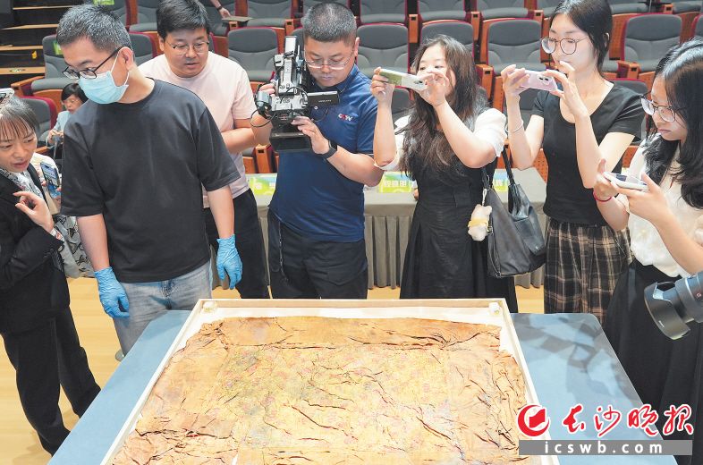 　　湖南博物院發(fā)布馬王堆漢墓三大考古新成果,，引發(fā)眾人極大興趣,。長沙晚報全媒體記者 鄒麟 攝